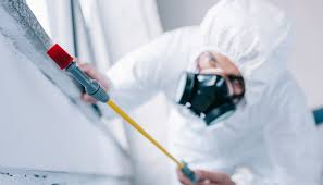 Best Fumigation Services  in Mentone, CA